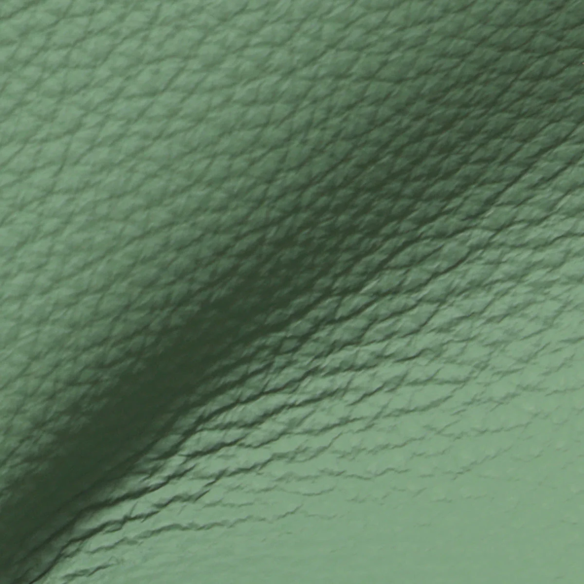 Eleanor Rigby Leather Grade 1 - Image 12