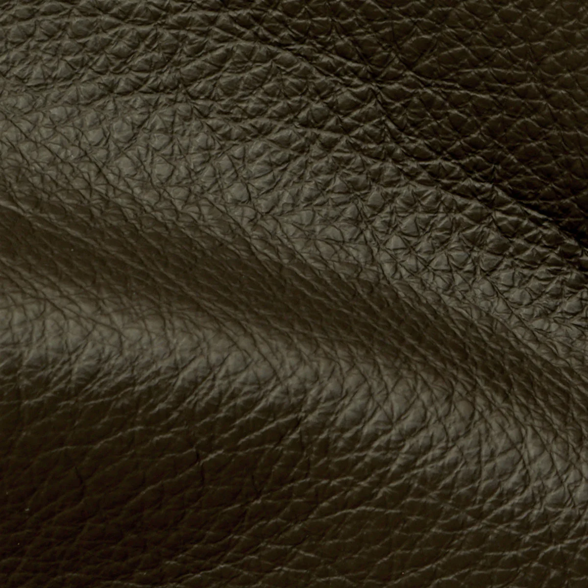 Eleanor Rigby Leather Grade 1 - Image 17