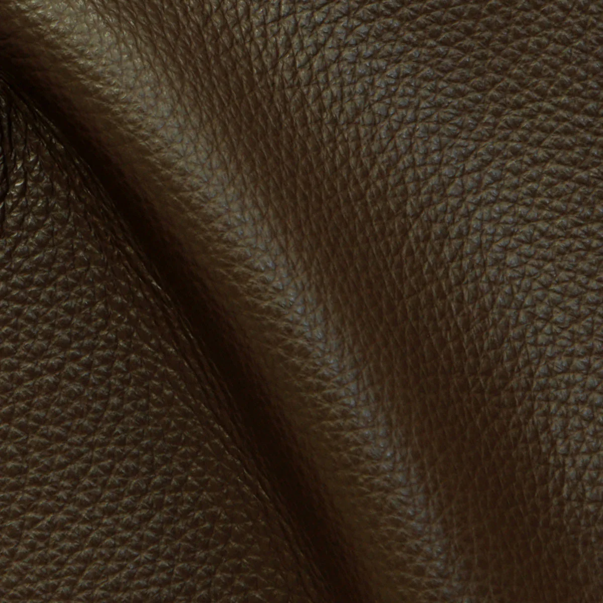 Eleanor Rigby Leather Grade 1 - Image 18