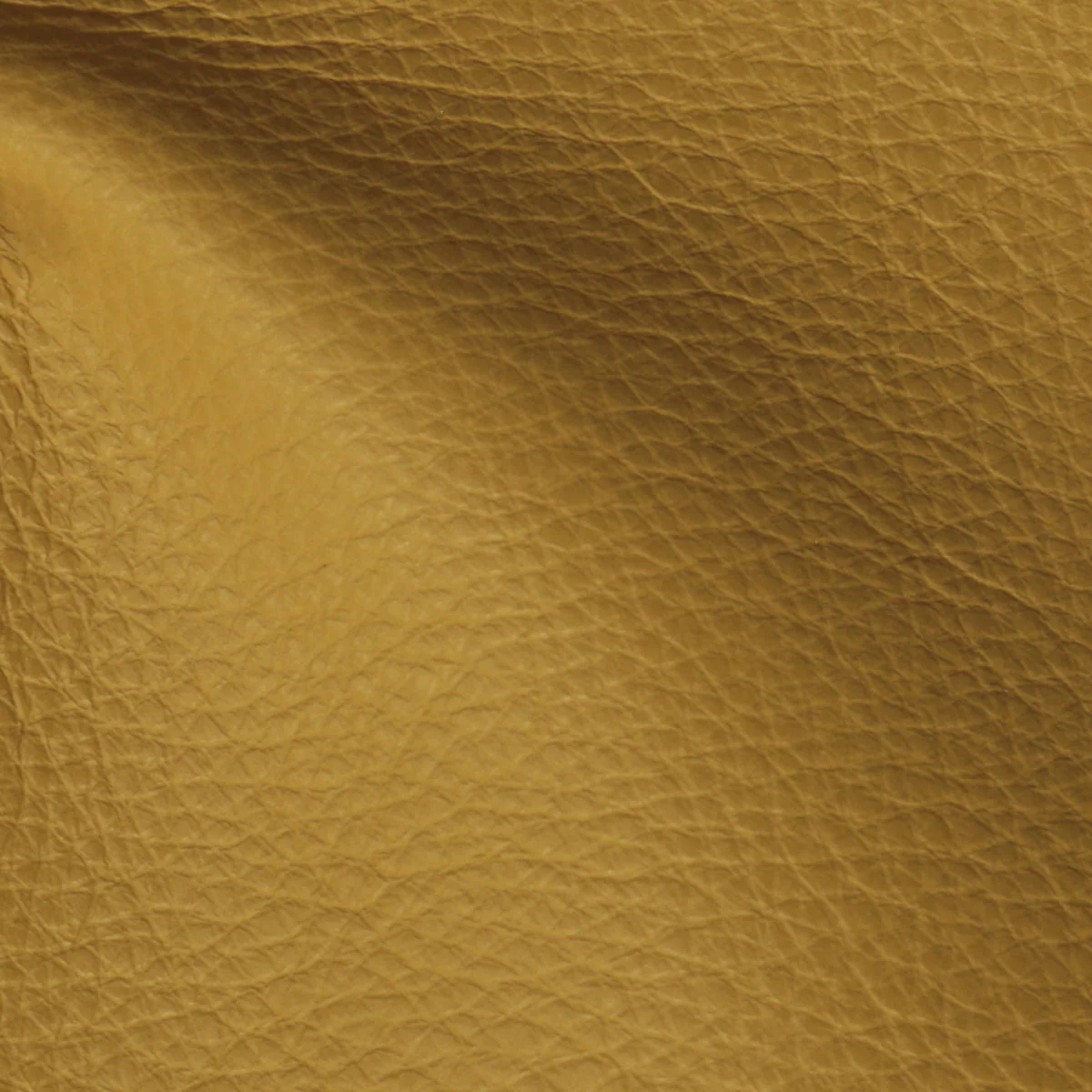 Eleanor Rigby Leather Grade 1 - Image 30
