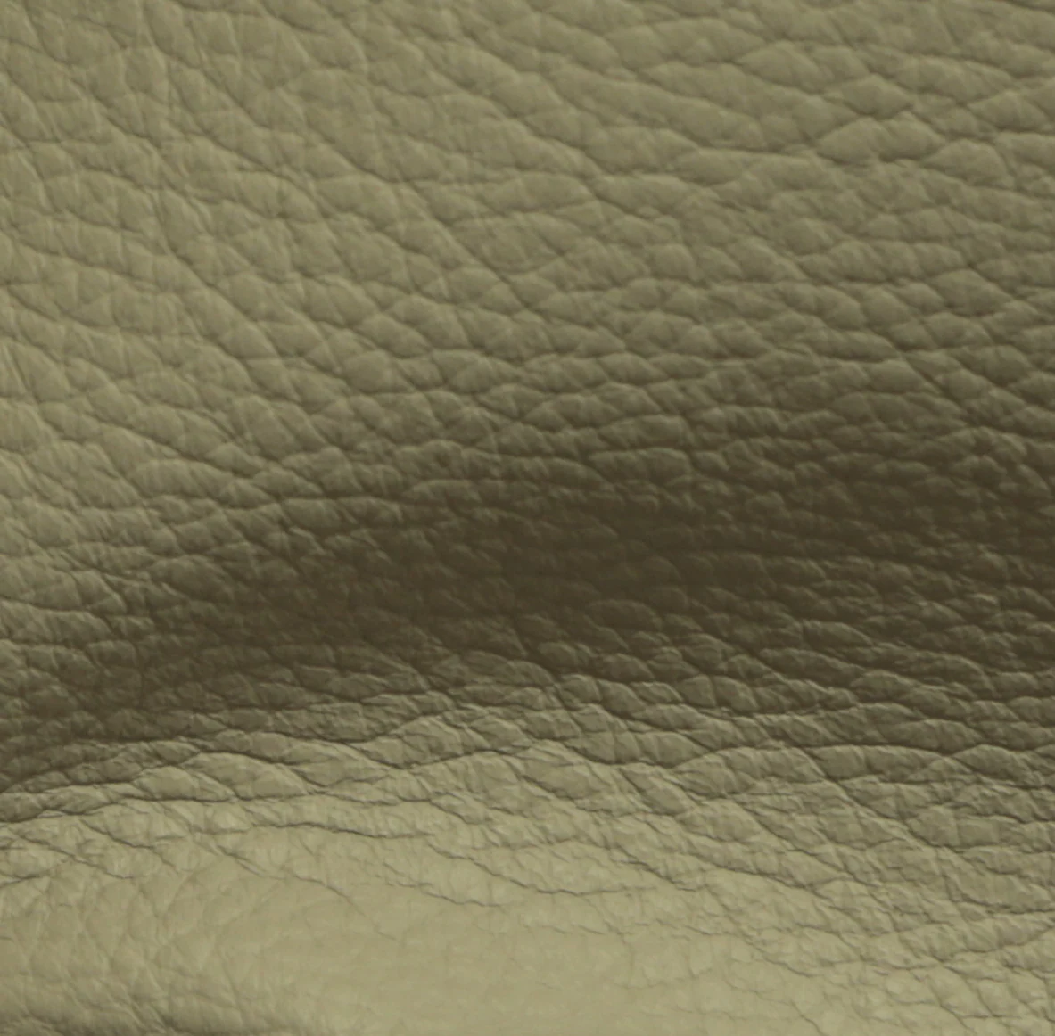 Eleanor Rigby Leather Grade 1 - Image 34