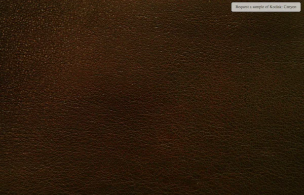 Eleanor Rigby Leather Grade 2 - Image 21