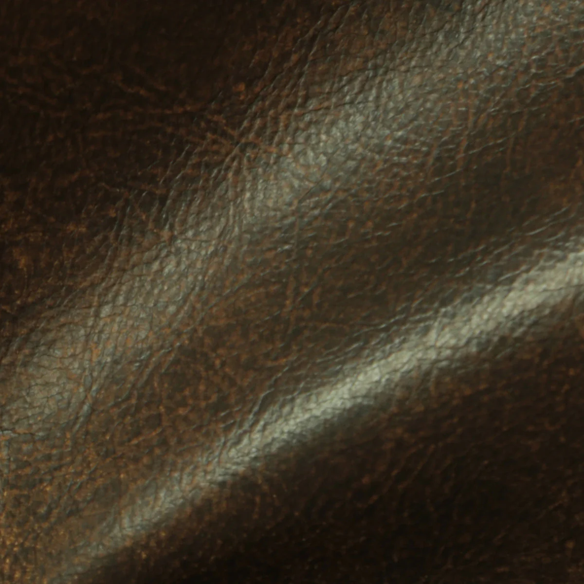 Eleanor Rigby Leather Grade 2 - Image 26