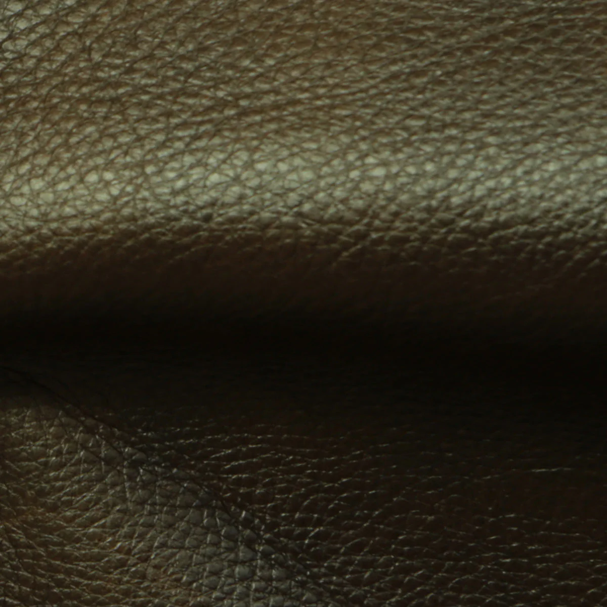 Eleanor Rigby Leather Grade 2 - Image 45