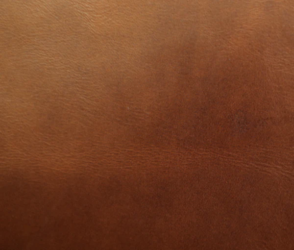Eleanor Rigby Leather Grade 3 - Image 22
