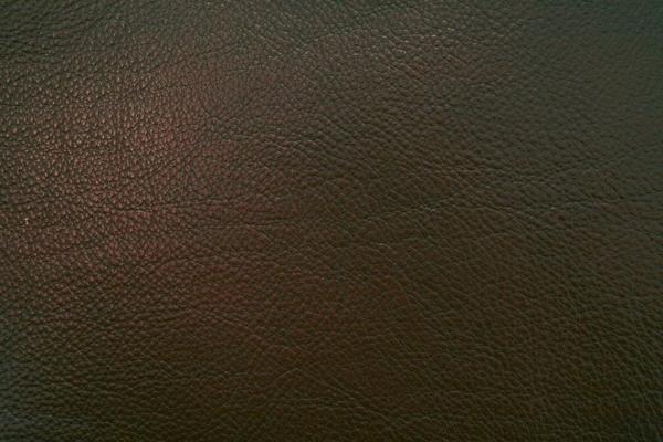 Eleanor Rigby Leather Grade 3 - Image 29