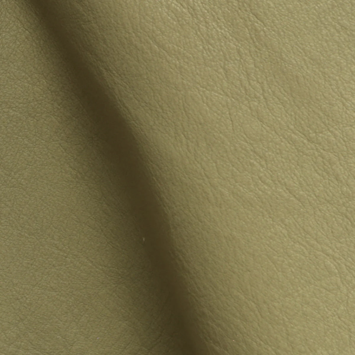 Eleanor Rigby Leather Grade 3 - Image 70