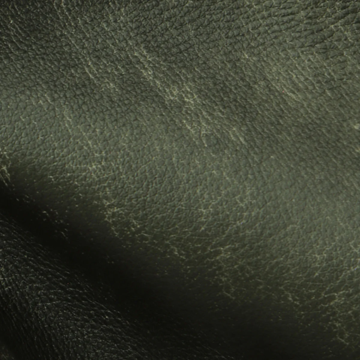 Eleanor Rigby Leather Grade 3 - Image 76