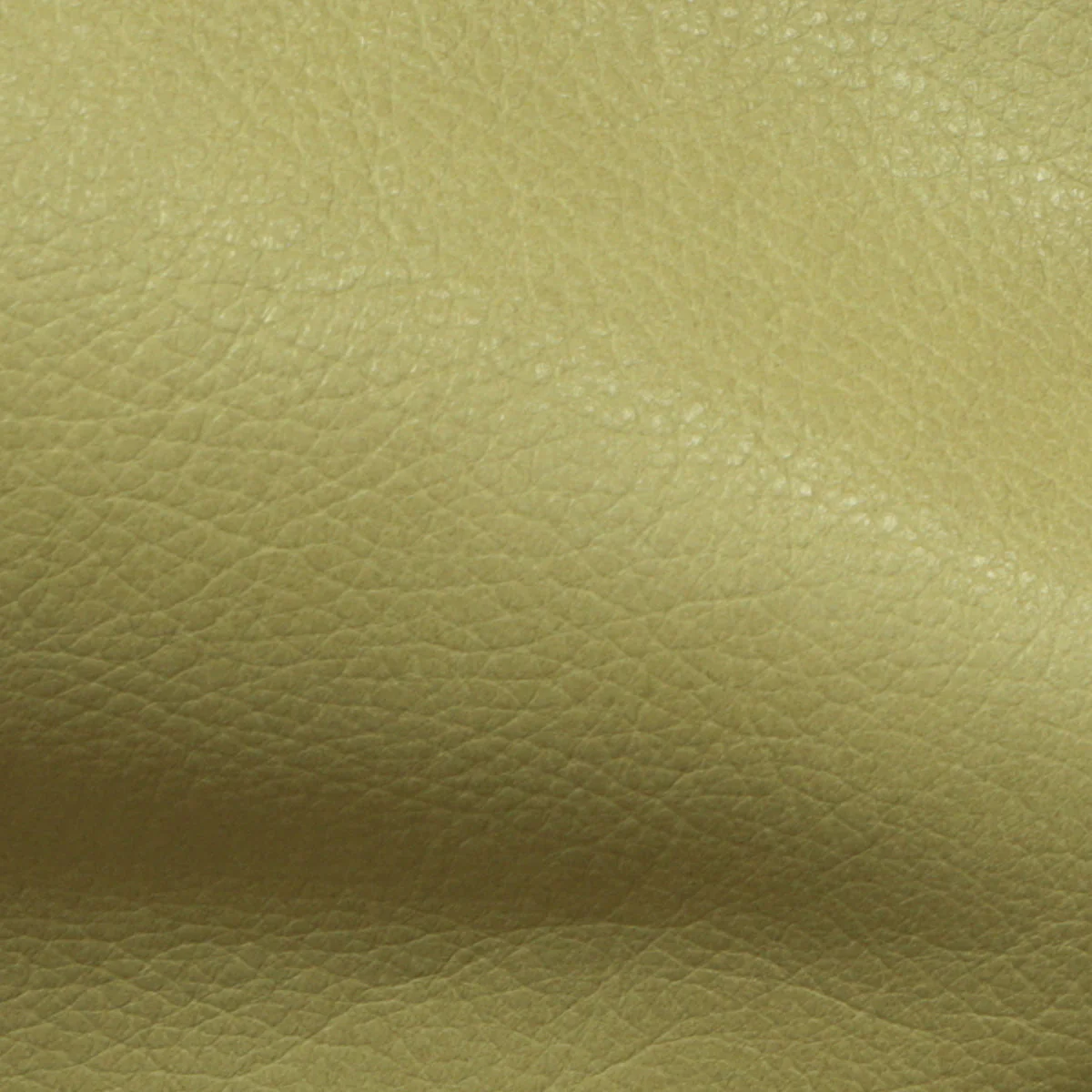 Eleanor Rigby Leather Grade 3 - Image 84