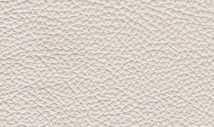 Natuzzi Editions Grade 10 - Image 22