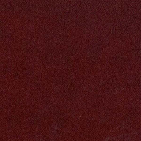 Omnia Grade 1 - Image 4