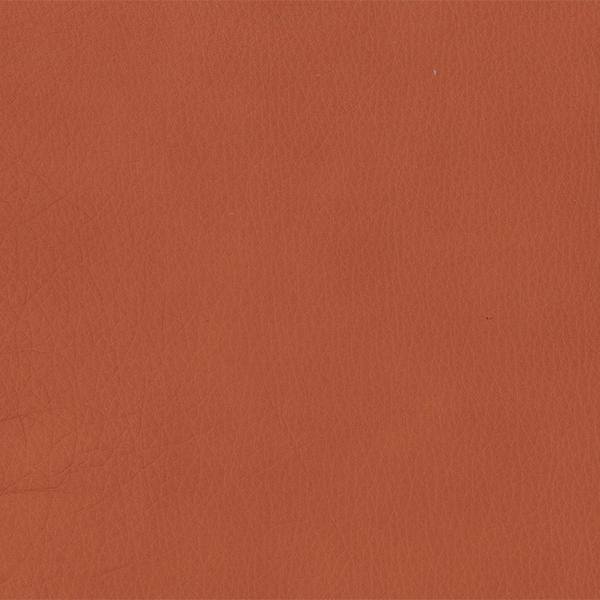 Omnia Grade 3 - Image 78