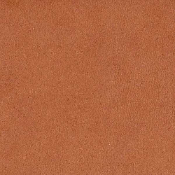 Omnia Grade 3 - Image 84