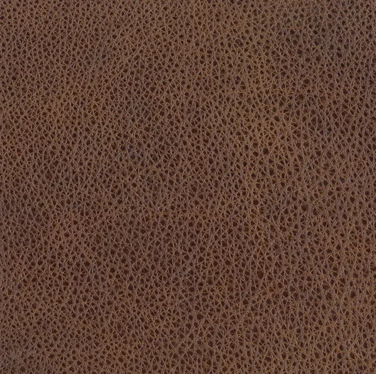 Omnia Grade 4 - Image 64