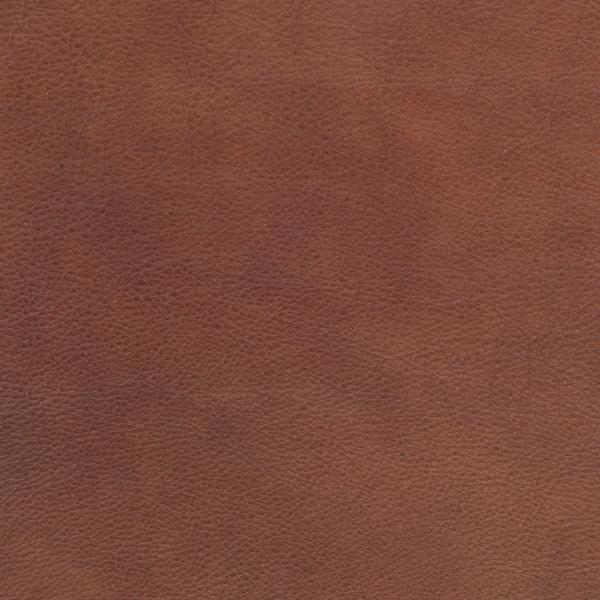 Omnia Leather Grade 4 - Image 35