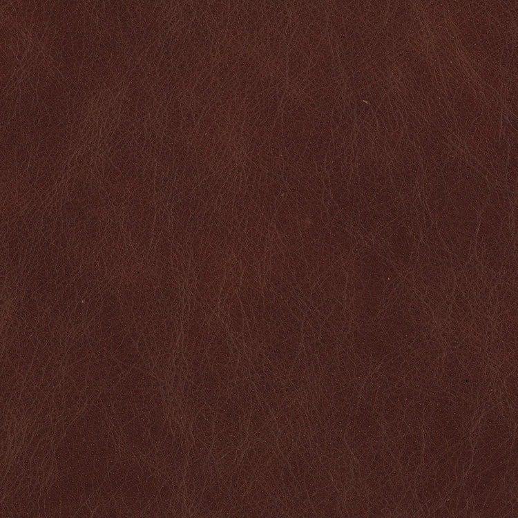 Omnia Grade 2 - Image 16
