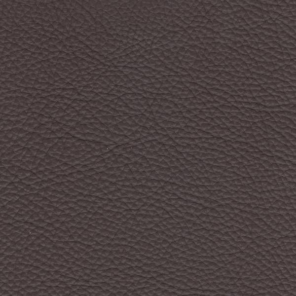 Omnia Grade 2 - Image 24