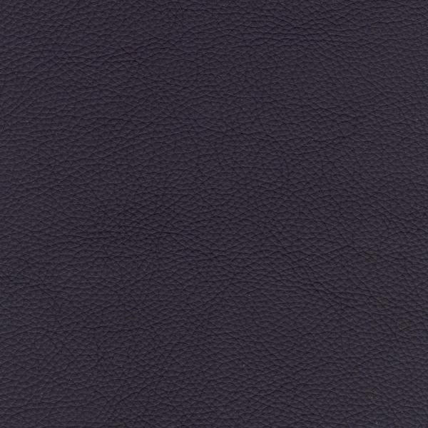 Omnia Grade 2 - Image 28