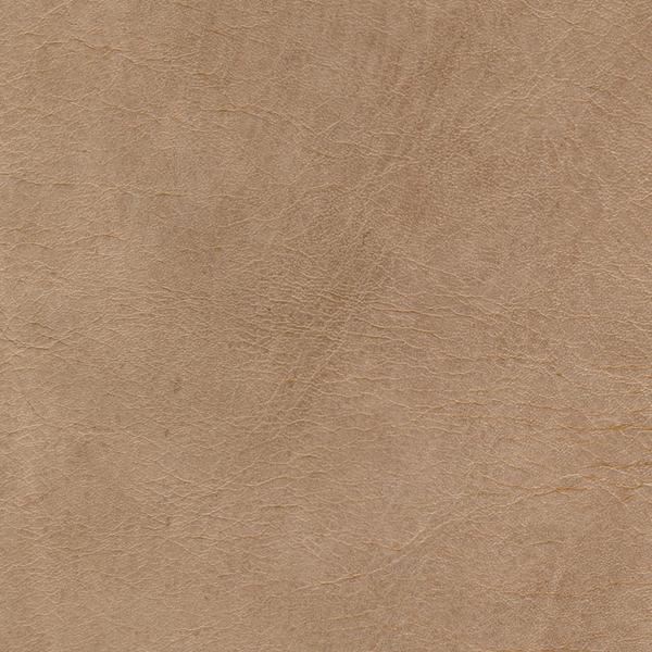 Omnia Leather Grade 2 - Image 101