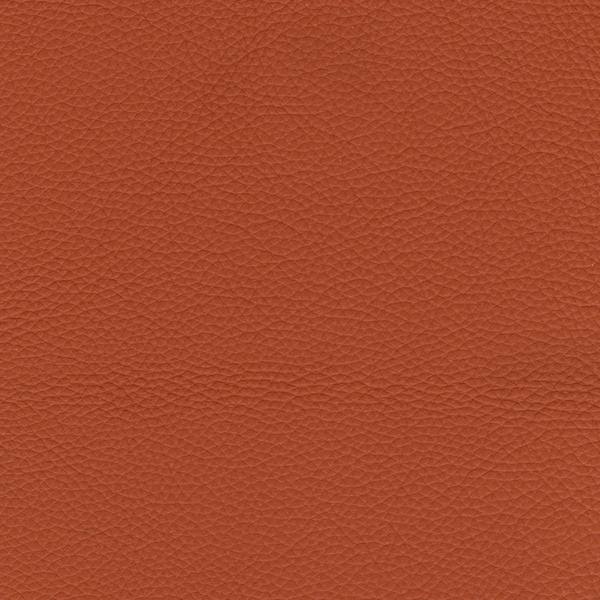 Omnia Leather Grade 2 - Image 25