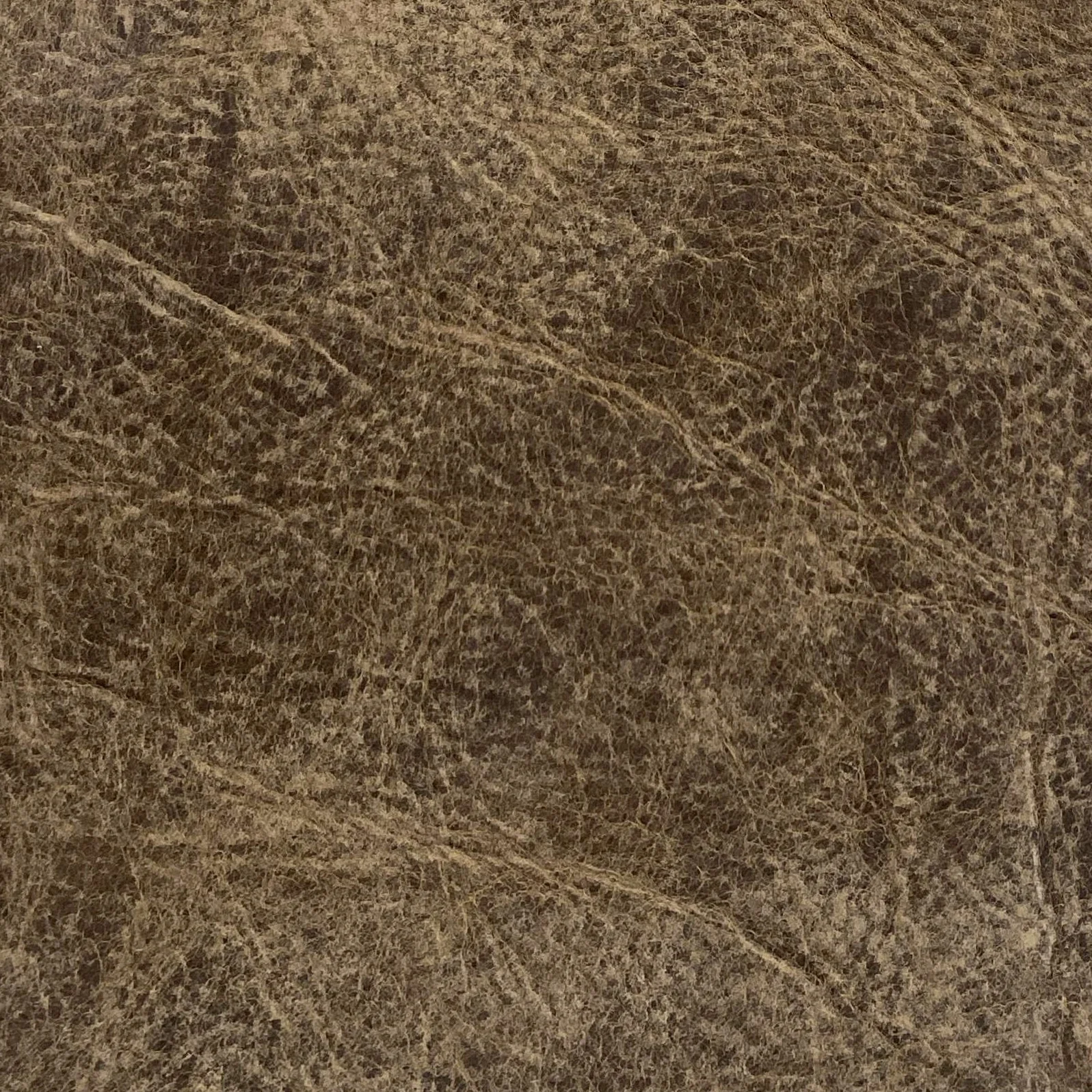 Omnia Leather Grade 3 - Image 111