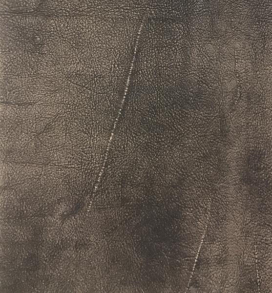 Omnia Leather Grade 3 - Image 29