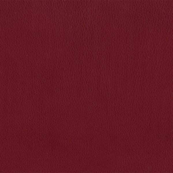 Omnia Leather Grade 3 - Image 72